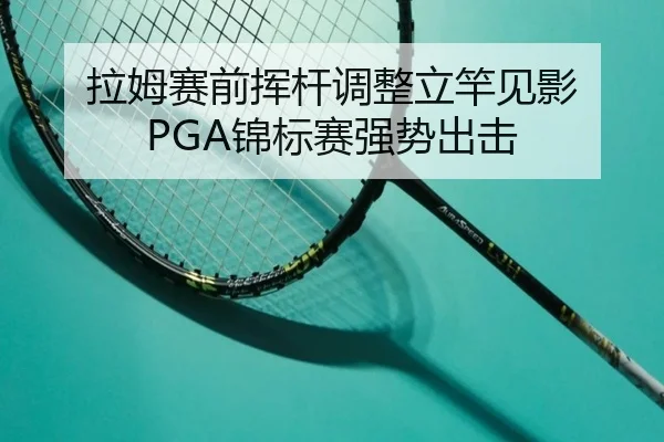 la-mu-sai-qian-hui-gan-tiao-zheng-li-gan-jian-ying-jin-biao-sai-qiang-shi-chu-ji-2-629.jpg